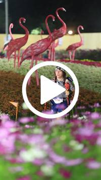 BIB:  <button type="button" onclick="openModal(27591139)" class="btn btn-primary btn-sm float-right" data-toggle="modal" data-target=".modal-high-quality">
                <i class="fa fa-download"></i> Download
                </button>